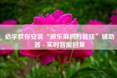 必学教你安装“微乐麻将万能挂”辅助器 - 实时智能回复