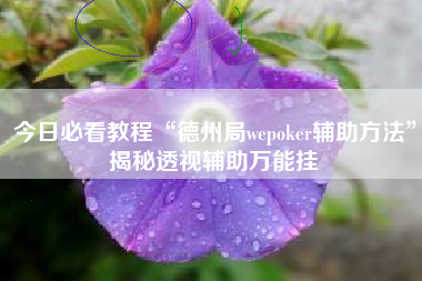 今日必看教程“德州局wepoker辅助方法”揭秘透视辅助万能挂