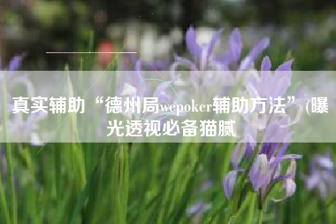 真实辅助“德州局wepoker辅助方法	”(曝光透视必备猫腻