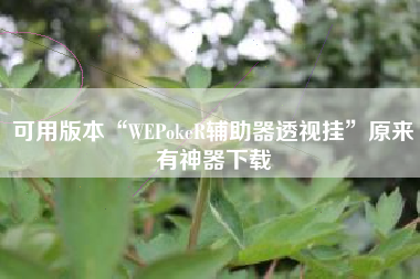可用版本“WEPokeR辅助器透视挂	”原来有神器下载