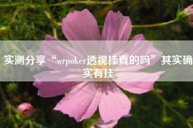实测分享“wrpoker透视挂真的吗	”其实确实有挂