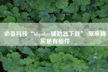 必备科技“hhpoker辅助器下载	”(原来确实是有插件