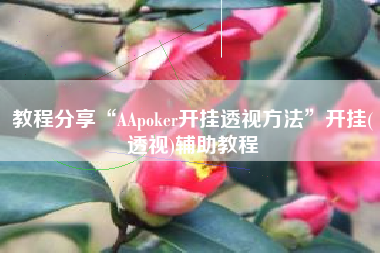 教程分享“AApoker开挂透视方法”开挂(透视)辅助教程