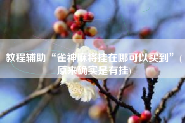 教程辅助“雀神麻将挂在哪可以买到	”(原来确实是有挂)