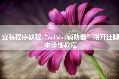 安装程序教程“wePoker辅助器	”附开挂脚本详细教程