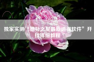 独家实测“德扑之星最新透视软件”开挂详细教程