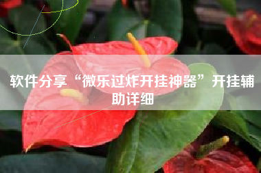 软件分享“微乐过炸开挂神器”开挂辅助详细