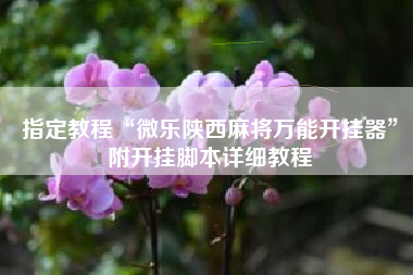 指定教程“微乐陕西麻将万能开挂器	”附开挂脚本详细教程