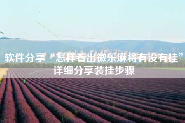 软件分享“怎样看出微乐麻将有没有挂”详细分享装挂步骤