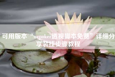可用版本“wepoker透视脚本免费”详细分享装挂步骤教程