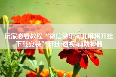 玩家必看教程“微信微乐河北麻将开挂下载安装	”开挂(透视)辅助神器