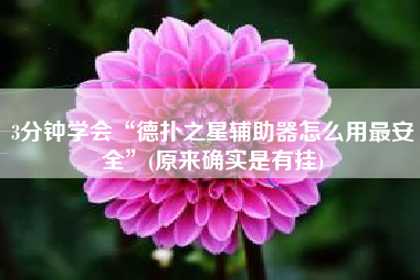 3分钟学会“德扑之星辅助器怎么用最安全”(原来确实是有挂)