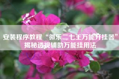 安装程序教程“微乐二七王万能开挂器	”揭秘透视辅助万能挂用法