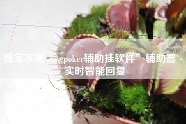 独家实测“wepoker辅助挂软件”辅助器 - 实时智能回复