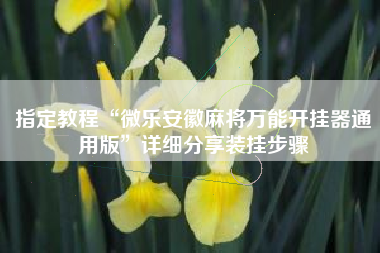 指定教程“微乐安徽麻将万能开挂器通用版	”详细分享装挂步骤