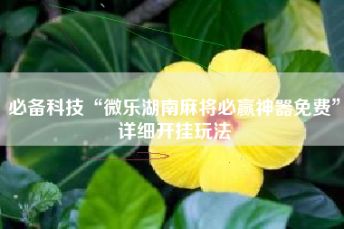必备科技“微乐湖南麻将必赢神器免费	”详细开挂玩法