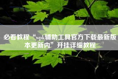 必看教程“wpk辅助工具官方下载最新版本更新内”开挂详细教程
