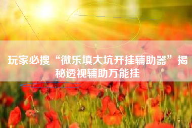 玩家必搜“微乐填大坑开挂辅助器”揭秘透视辅助万能挂