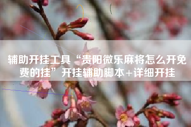 辅助开挂工具“贵阳微乐麻将怎么开免费的挂	”开挂辅助脚本+详细开挂