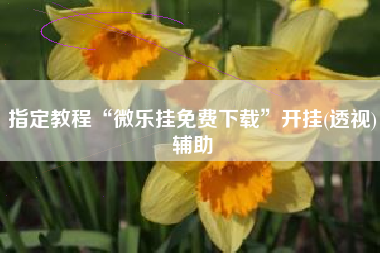 指定教程“微乐挂免费下载	”开挂(透视)辅助