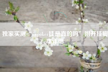 独家实测“wepoker挂是真的吗	”附开挂脚本详细