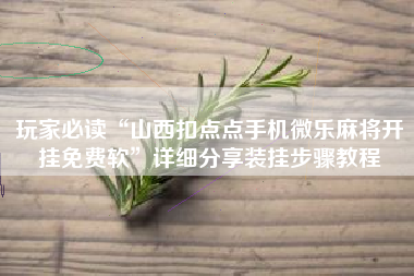 玩家必读“山西扣点点手机微乐麻将开挂免费软	”详细分享装挂步骤教程