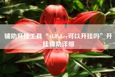 辅助开挂工具“AGPoker可以开挂吗”开挂辅助详细