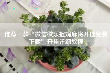 推荐一款“微信微乐捉鸡麻将开挂免费下载”开挂详细教程