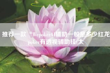 推荐一款“WepokerAI辅助一般是多少红龙poker有透视辅助挂(太