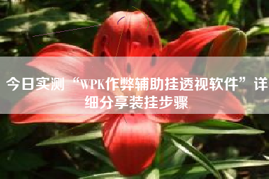 今日实测“WPK作弊辅助挂透视软件”详细分享装挂步骤