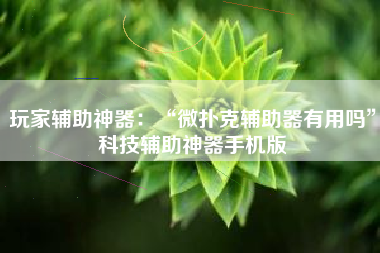 玩家辅助神器：“微扑克辅助器有用吗”科技辅助神器手机版