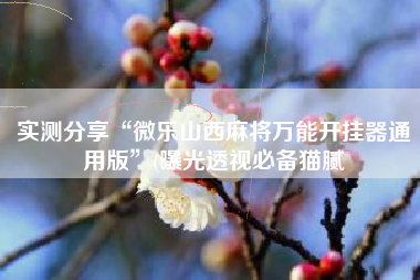 实测分享“微乐山西麻将万能开挂器通用版”(曝光透视必备猫腻