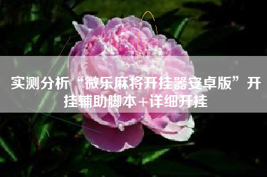 实测分析“微乐麻将开挂器安卓版	”开挂辅助脚本+详细开挂