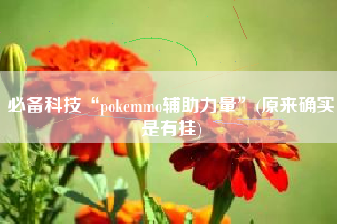 必备科技“pokemmo辅助力量	”(原来确实是有挂)