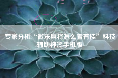 专家分析“微乐麻将怎么看有挂”科技辅助神器手机版