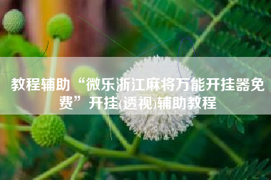 教程辅助“微乐浙江麻将万能开挂器免费	”开挂(透视)辅助教程