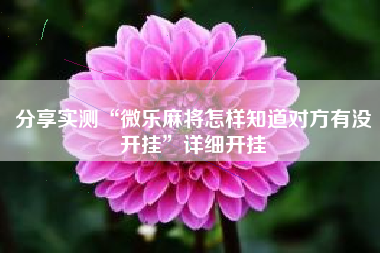 分享实测“微乐麻将怎样知道对方有没开挂”详细开挂