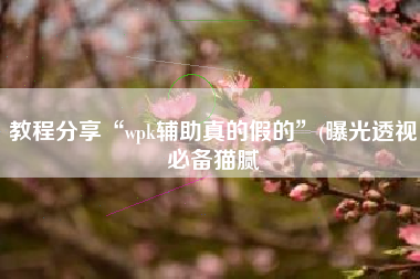 教程分享“wpk辅助真的假的”(曝光透视必备猫腻