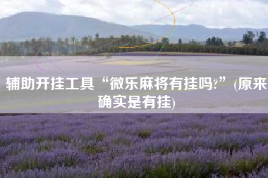 辅助开挂工具“微乐麻将有挂吗?”(原来确实是有挂)