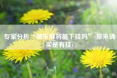 专家分析“微乐麻将能下挂吗”(原来确实是有挂)