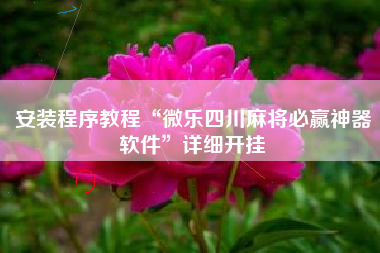 安装程序教程“微乐四川麻将必赢神器软件	”详细开挂