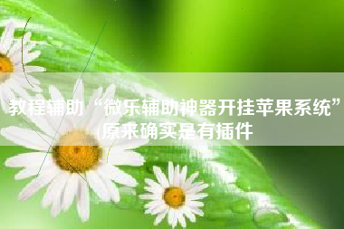 教程辅助“微乐辅助神器开挂苹果系统”(原来确实是有插件