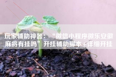 玩家辅助神器：“微信小程序微乐安徽麻将有挂吗”开挂辅助脚本+详细开挂