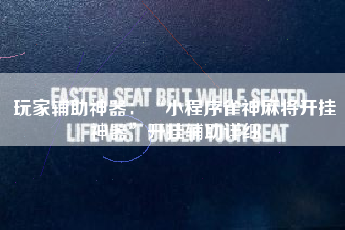 玩家辅助神器：“小程序雀神麻将开挂神器”开挂辅助详细