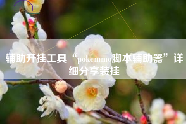 辅助开挂工具“pokemmo脚本辅助器	”详细分享装挂