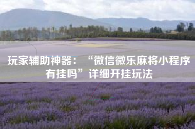 玩家辅助神器：“微信微乐麻将小程序有挂吗”详细开挂玩法