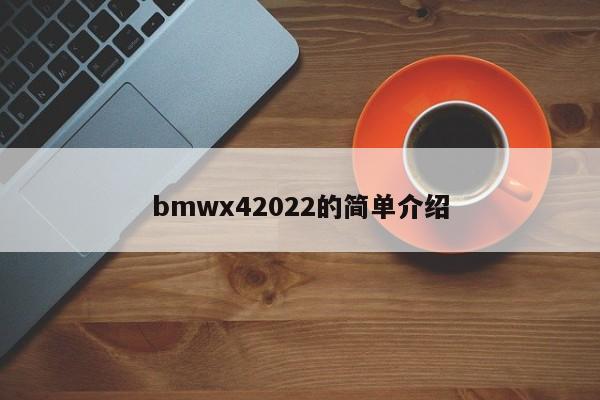 bmwx42022的简单介绍